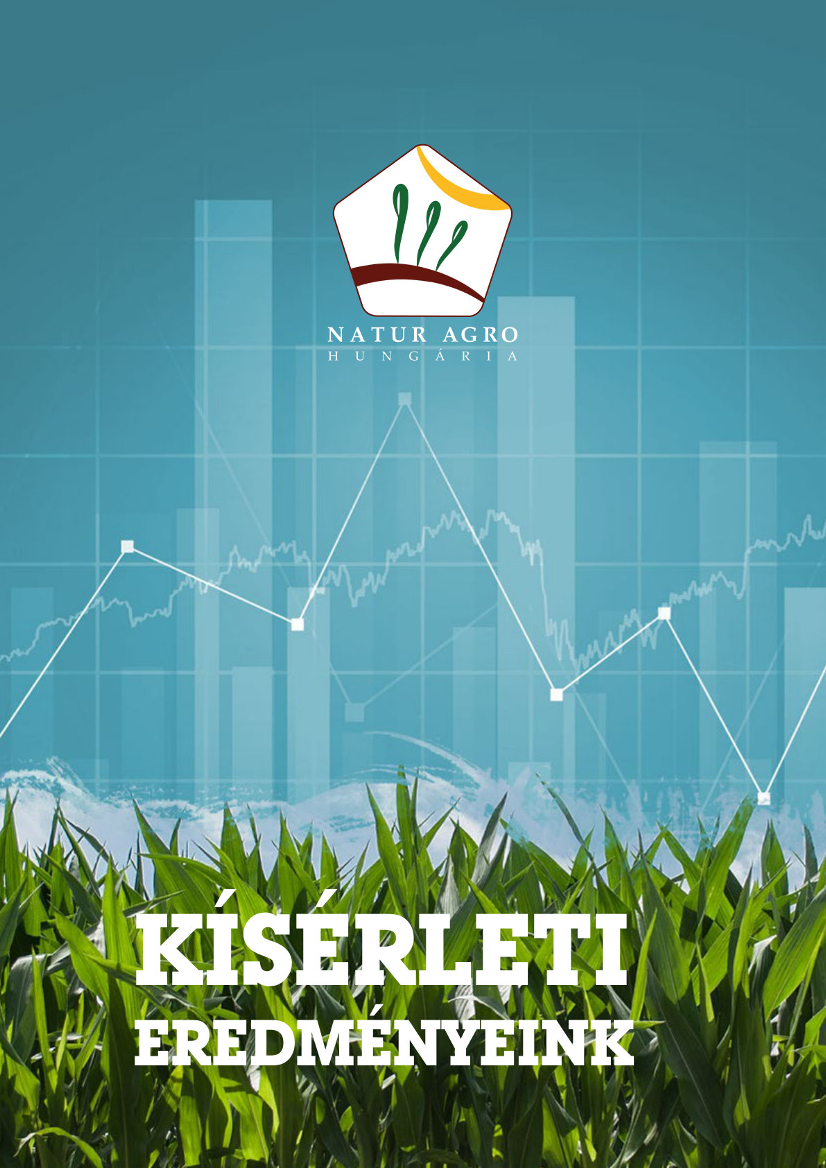 Kísérleti eredmények 2019 Összefoglaló füzet - borító